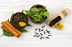 Ayurvedic Clinics Category Image