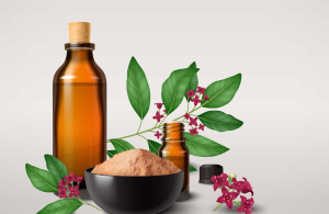 Unani Medicine Clinics Category Image